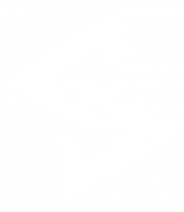 seaside-coatings-logo icon-white seaside coatings icon white