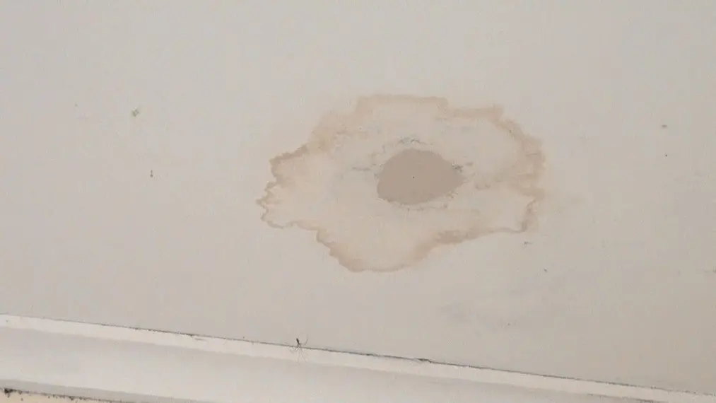 how to fix water damaged walls before painting